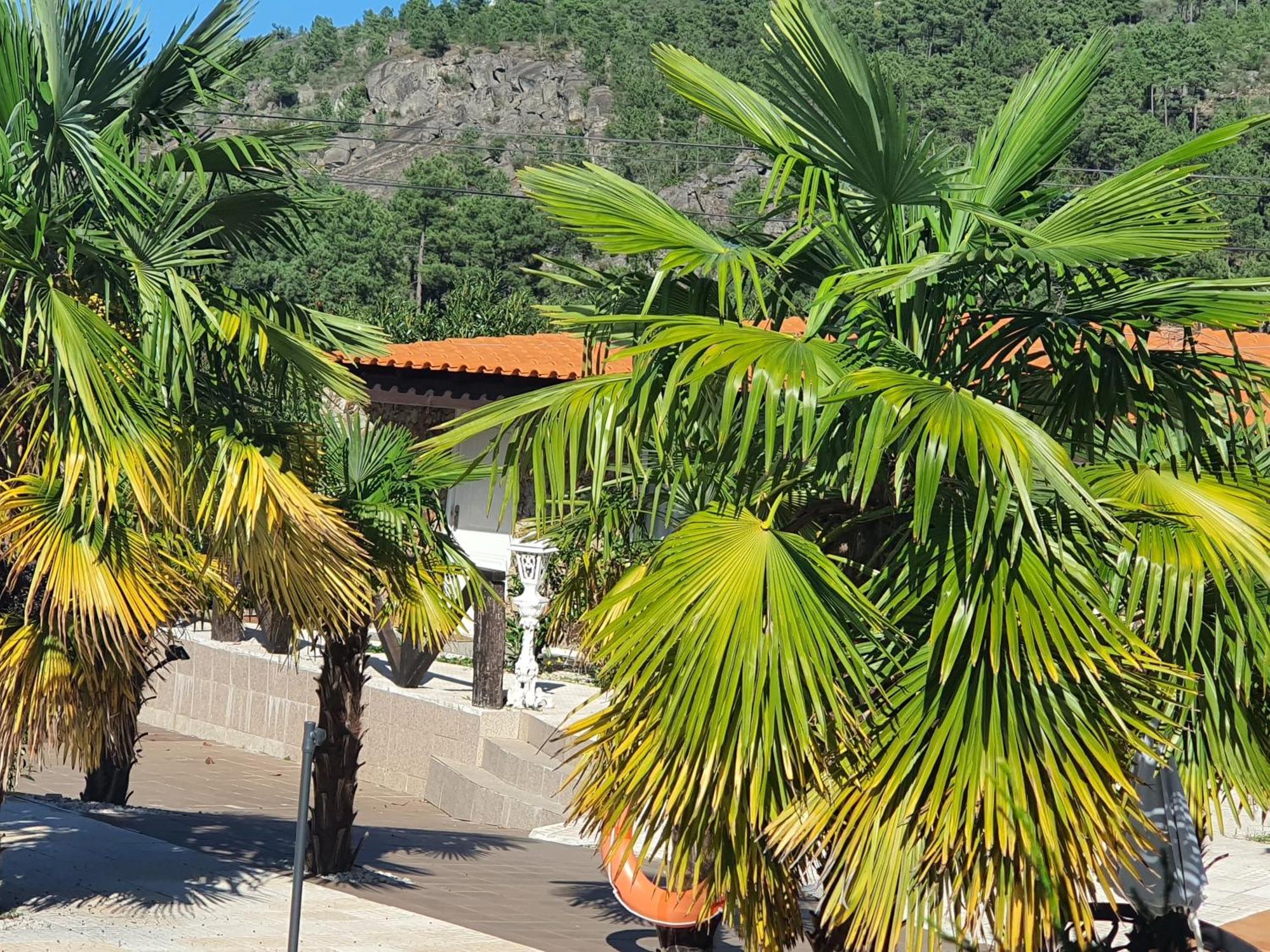 Gojim Casa Rural Armamar Luaran gambar
